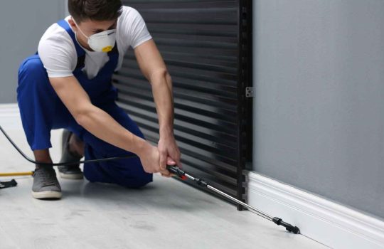 הדברה והרחקת מזיקים2